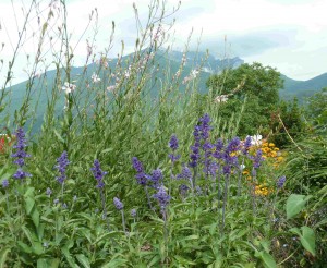 Maison-Salechan-Vue-Jardin4