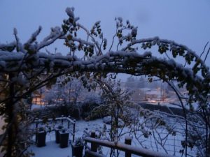 le jardin sous la neige