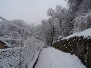 les chemins sous la neige